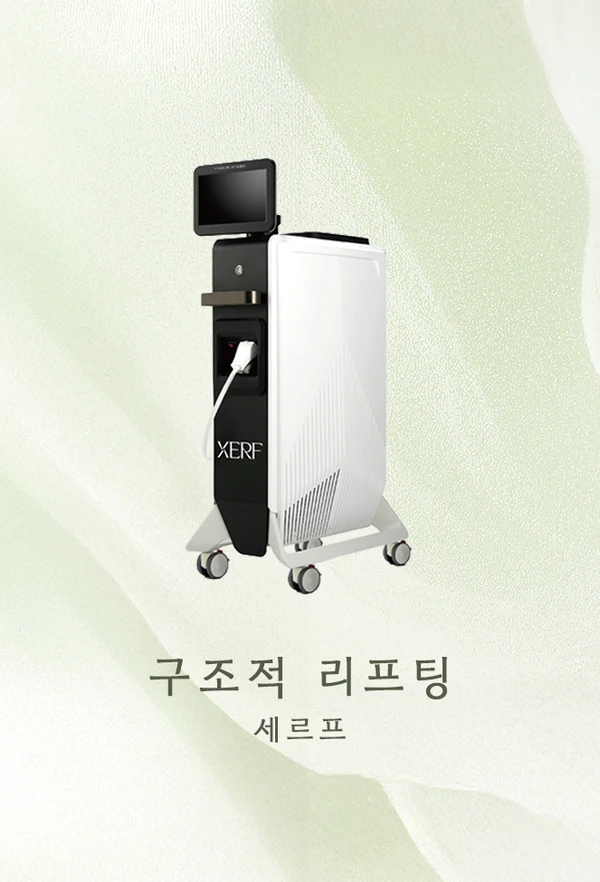 세르프