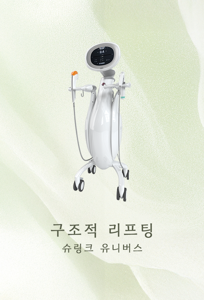 슈링크 유니버스