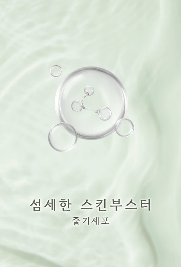 줄기세포(NovaStem)