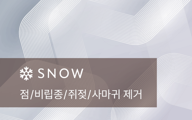 점 / 비립종 / 쥐젖 / 사마귀 제거