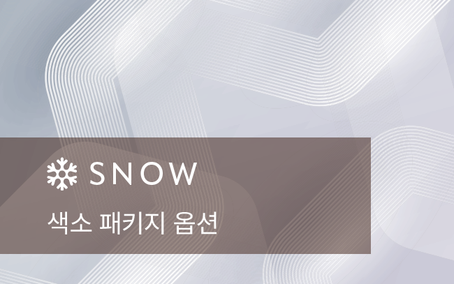 색소 패키지 옵션