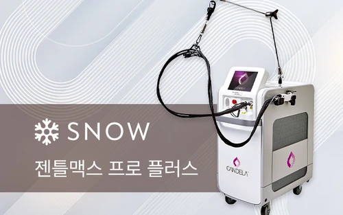 젠틀맥스 프로 플러스