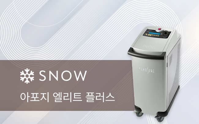 아포지 엘리트 플러스