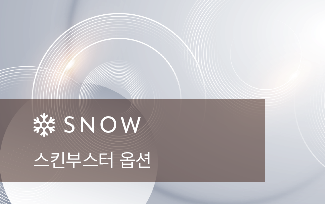 스킨부스터 옵션