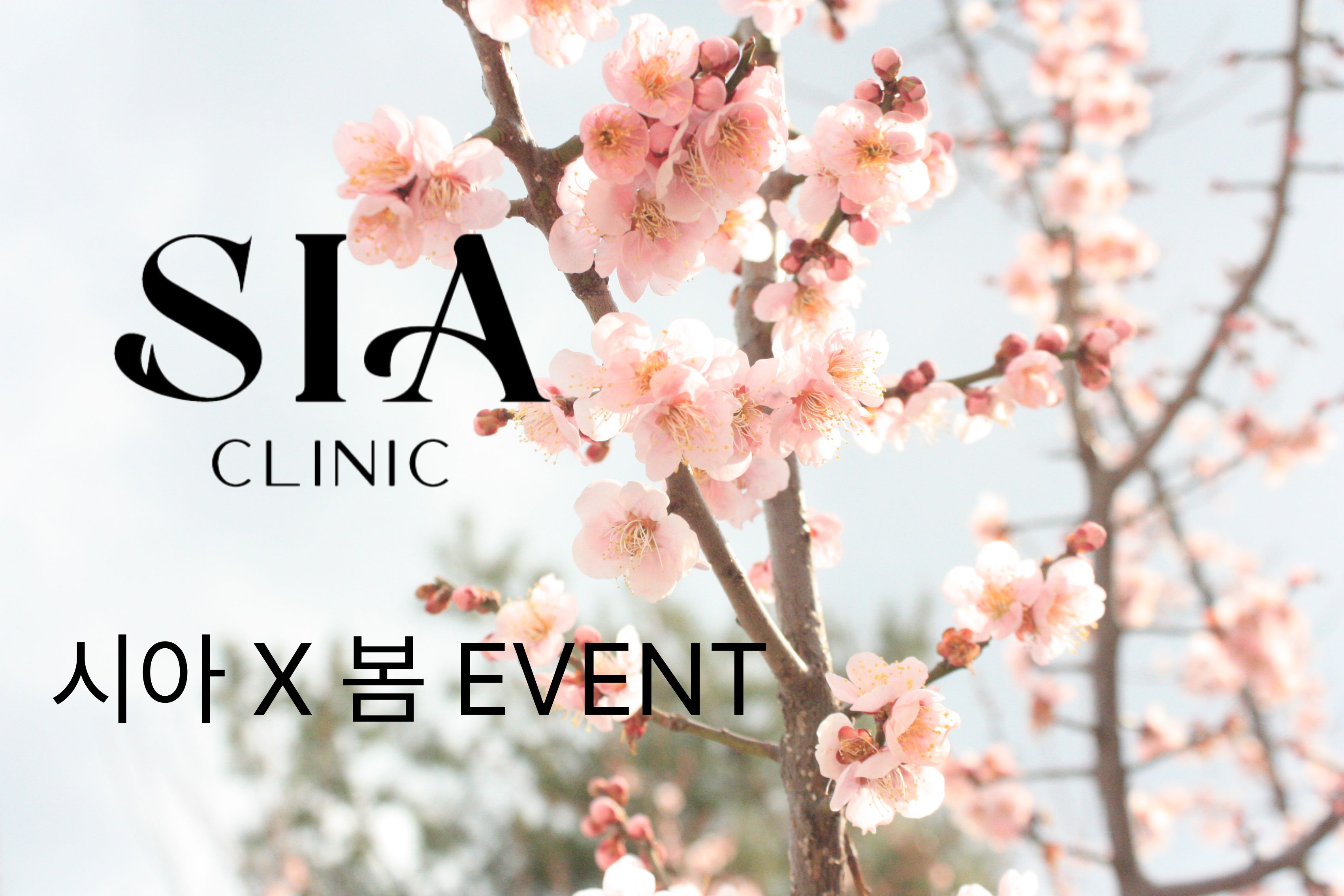 시아X봄 EVENT