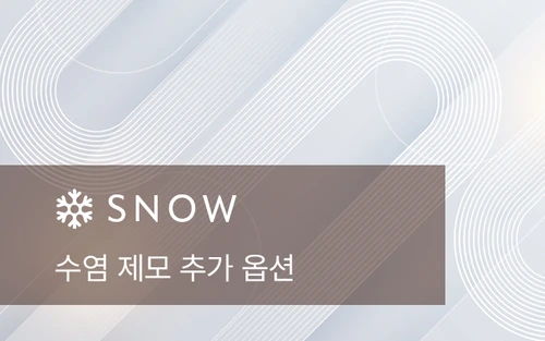 수염 제모 추가 옵션