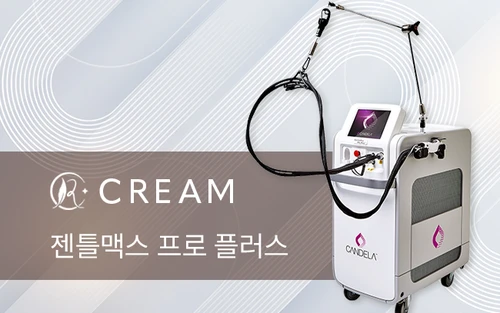 젠틀맥스 프로 플러스