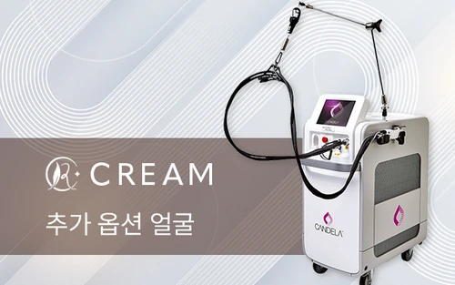 추가 옵션 얼굴