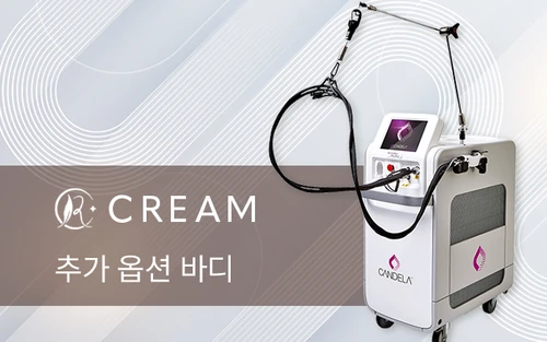 추가 옵션 바디