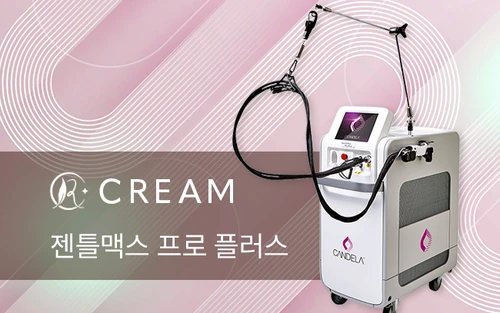 젠틀맥스 프로 플러스